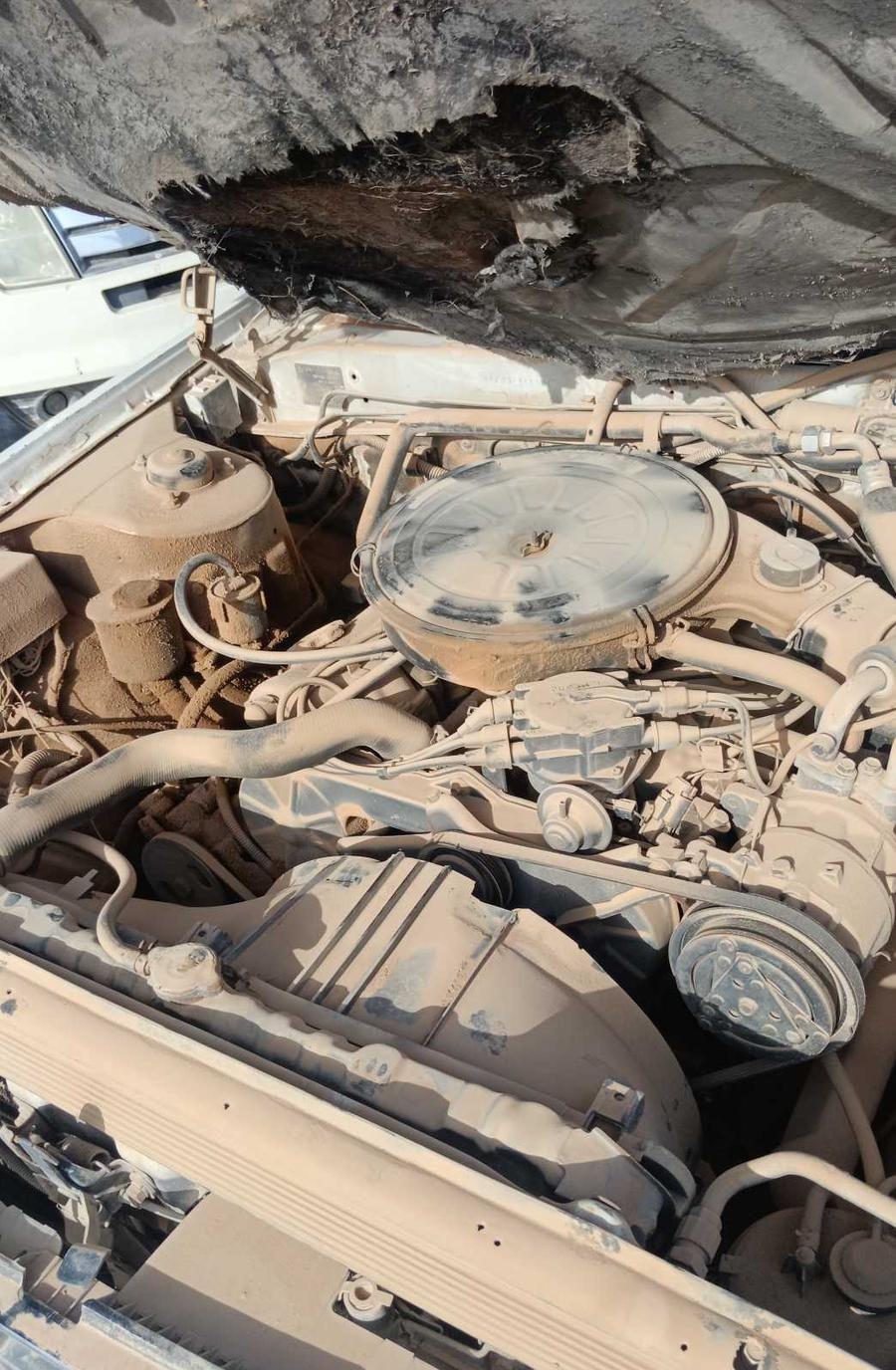 سدرك موديل 93بيع