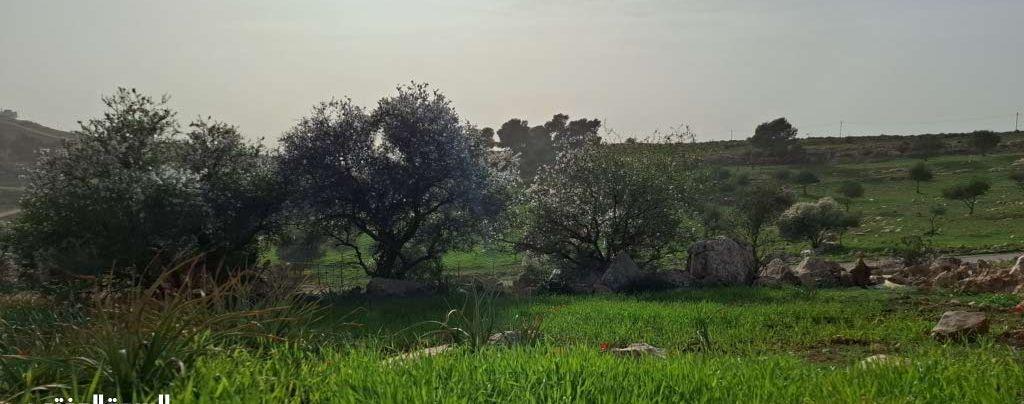 فرصة استثمارية مميزة