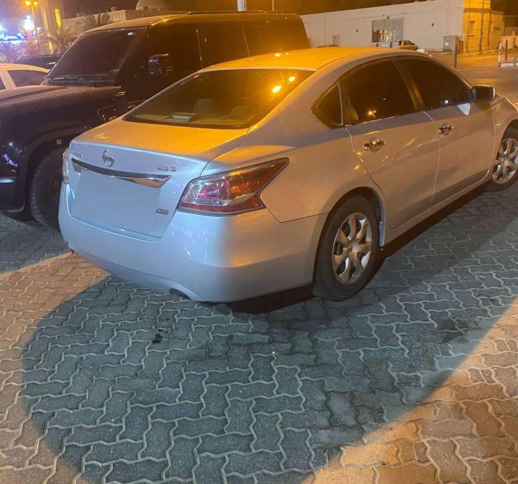 2013 نيسان التيما