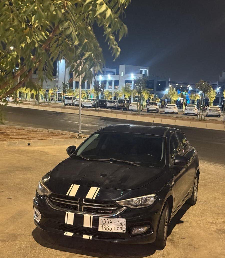 dodge neon 2018