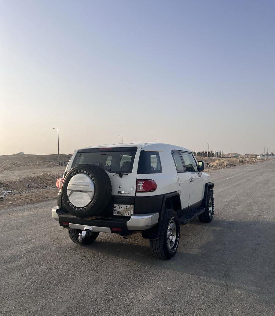 افجي 2010