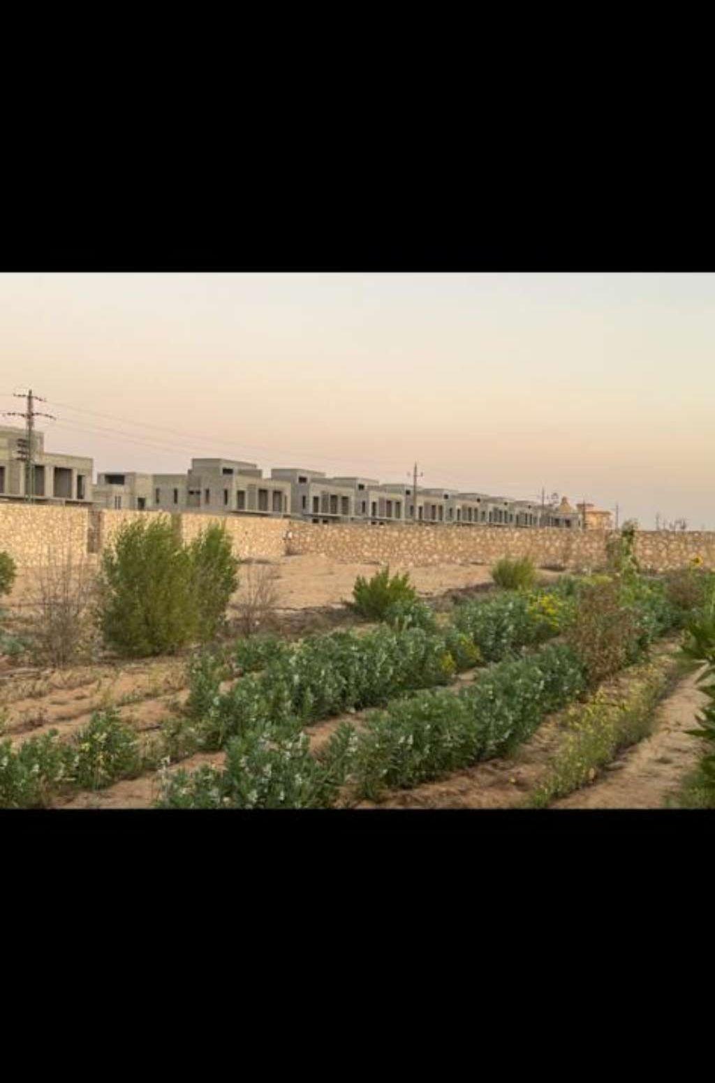 ارض 10 فدان