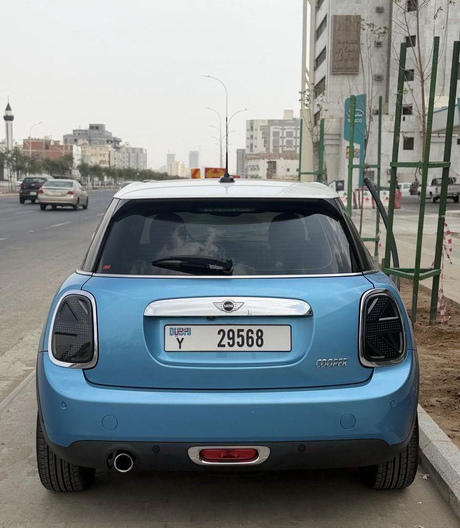 ميني كوبر بلوحات