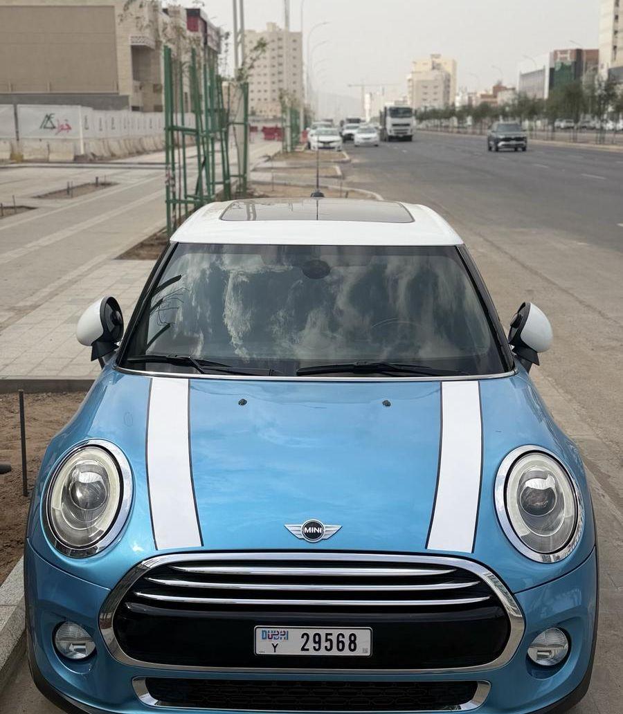 ميني كوبر بلوحات