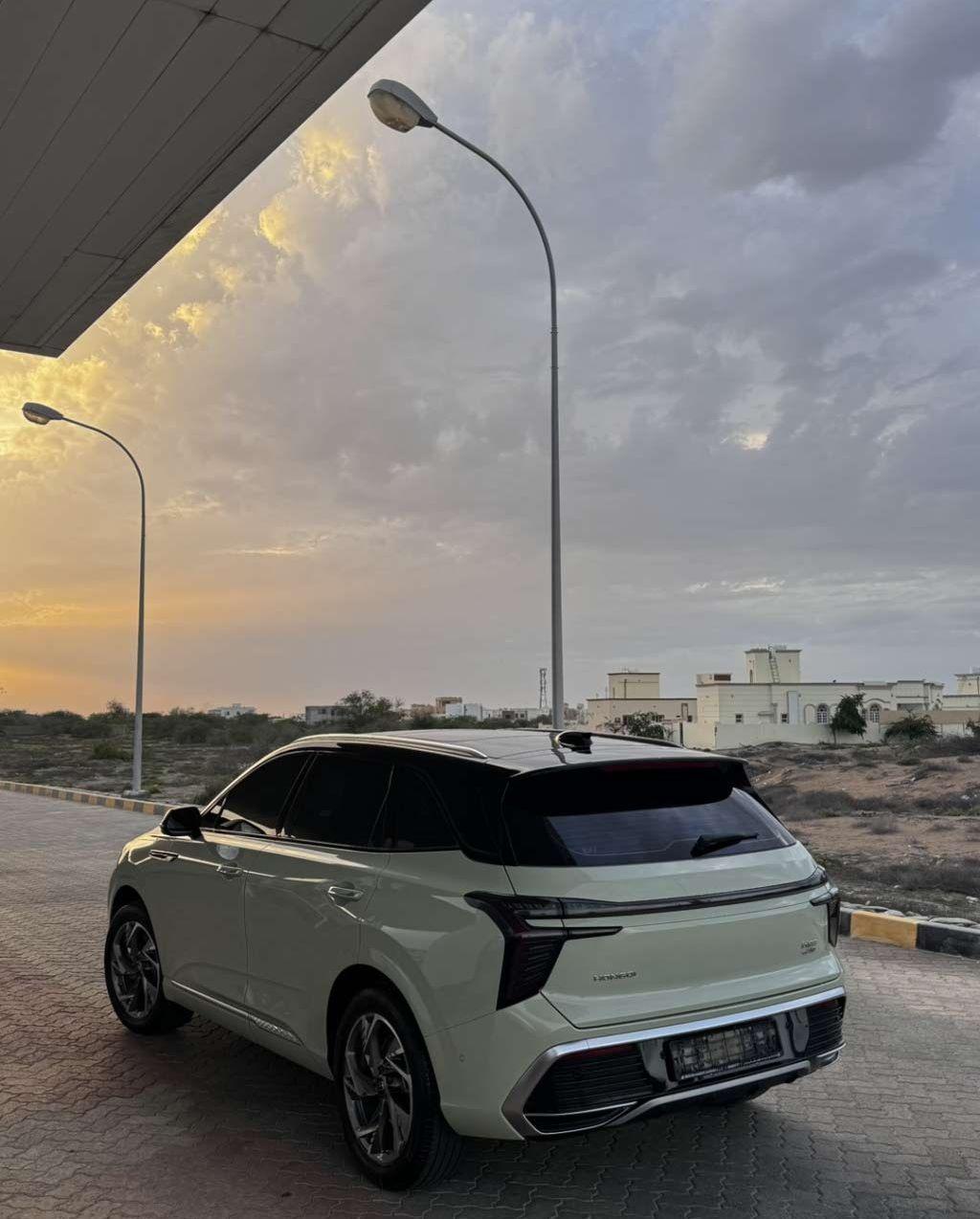 2024 هونج تشي