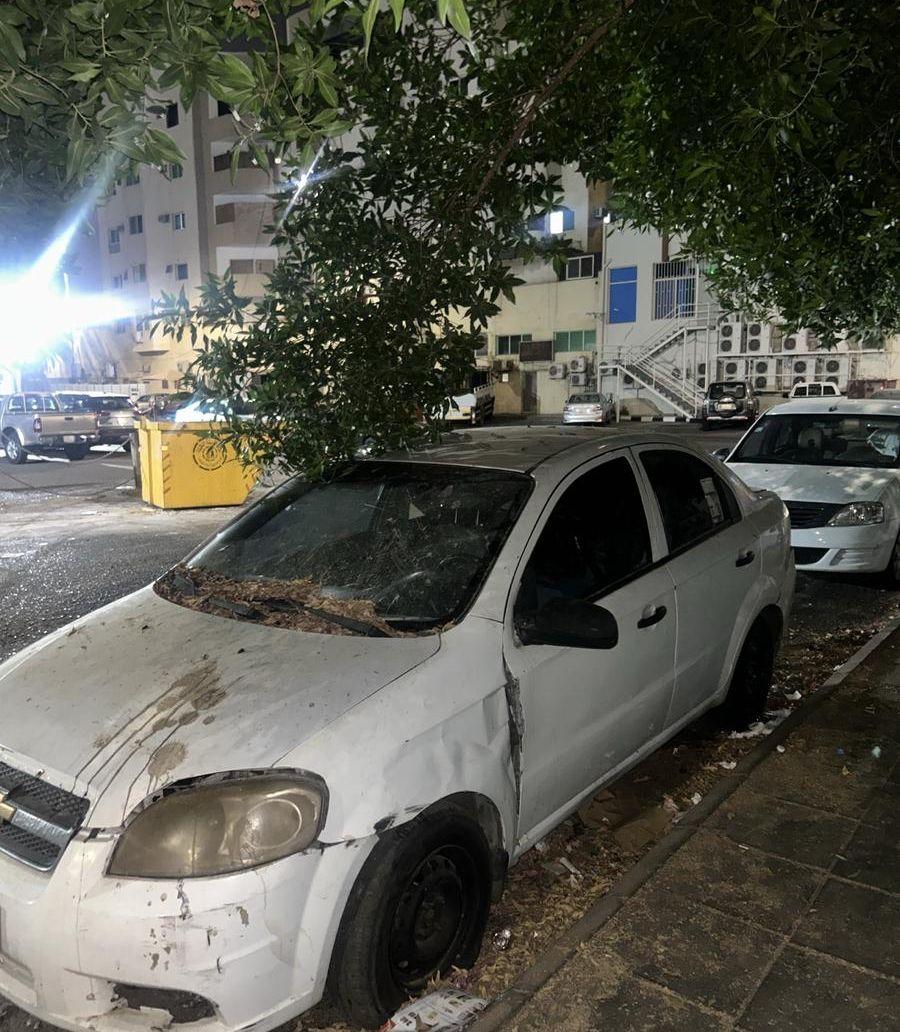 افيو 2015