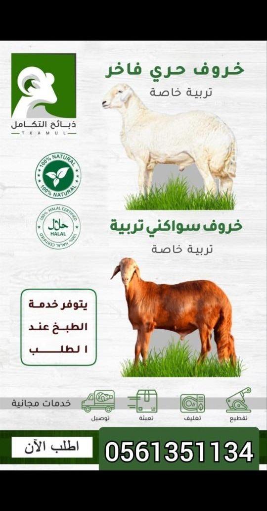 ذبايح مناسبات مع