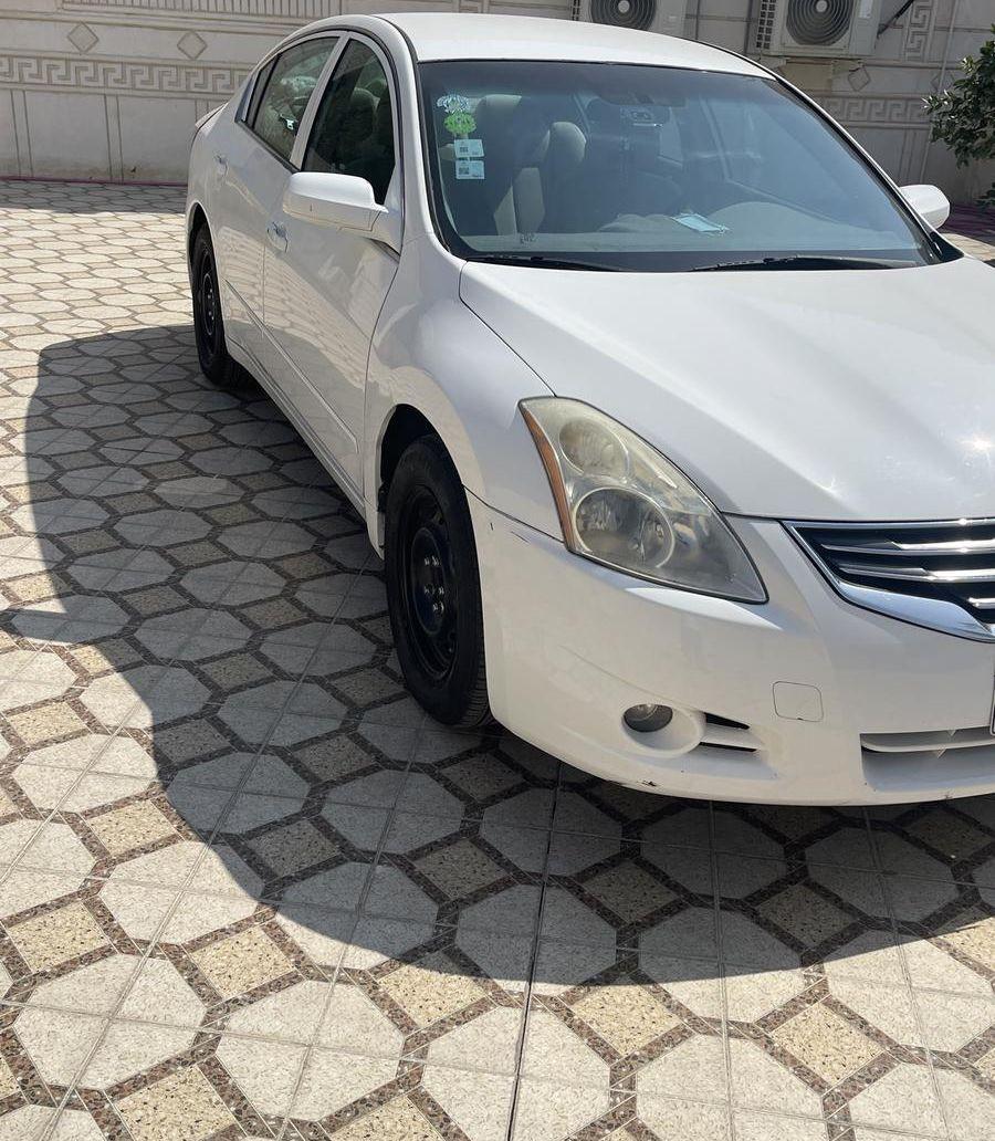 التيما 2010 ممشى