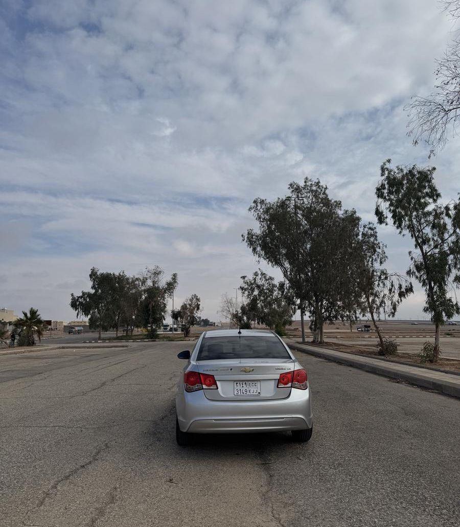 كروز 2013