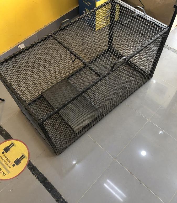 مصيده كلاب ذياب