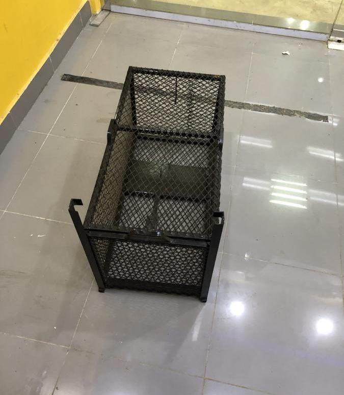 مصيده كلاب ذياب