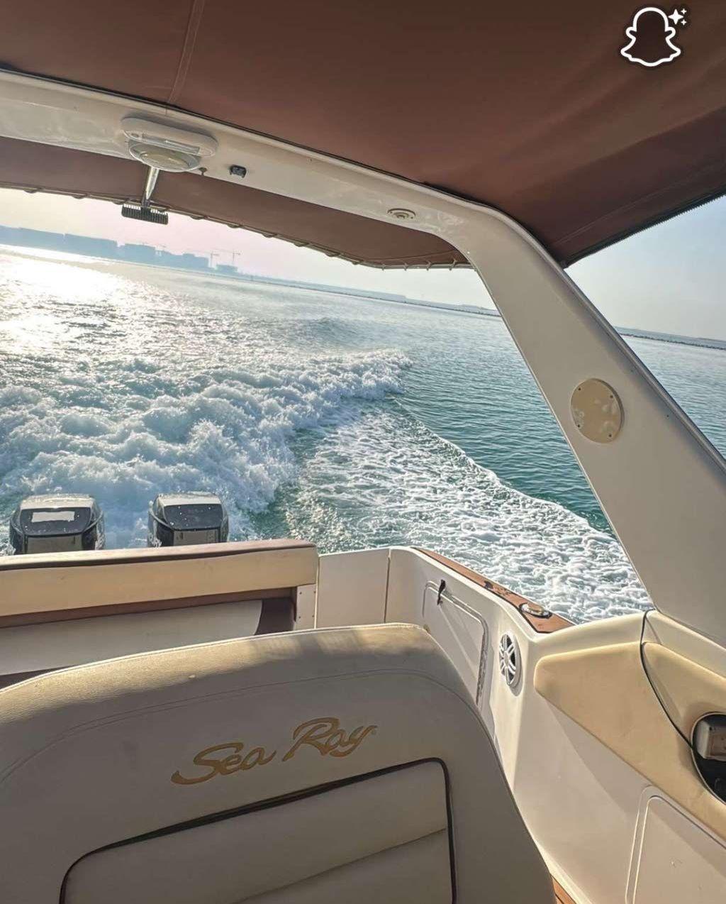 Sea ray sundancer