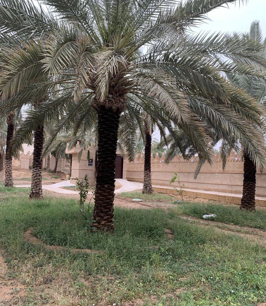 مزرعة ومنتجع للايجار