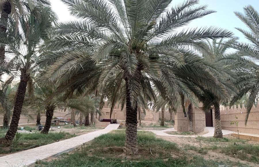مزرعة ومنتجع للايجار