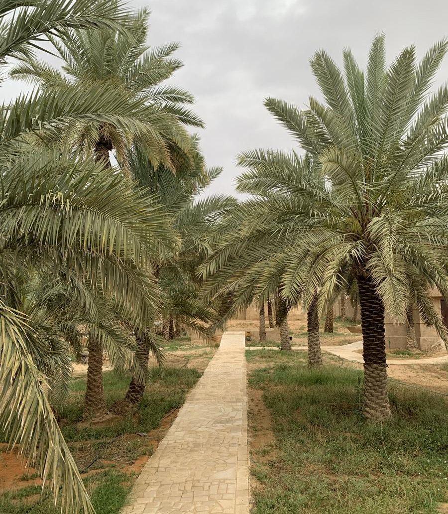 مزرعة ومنتجع للايجار