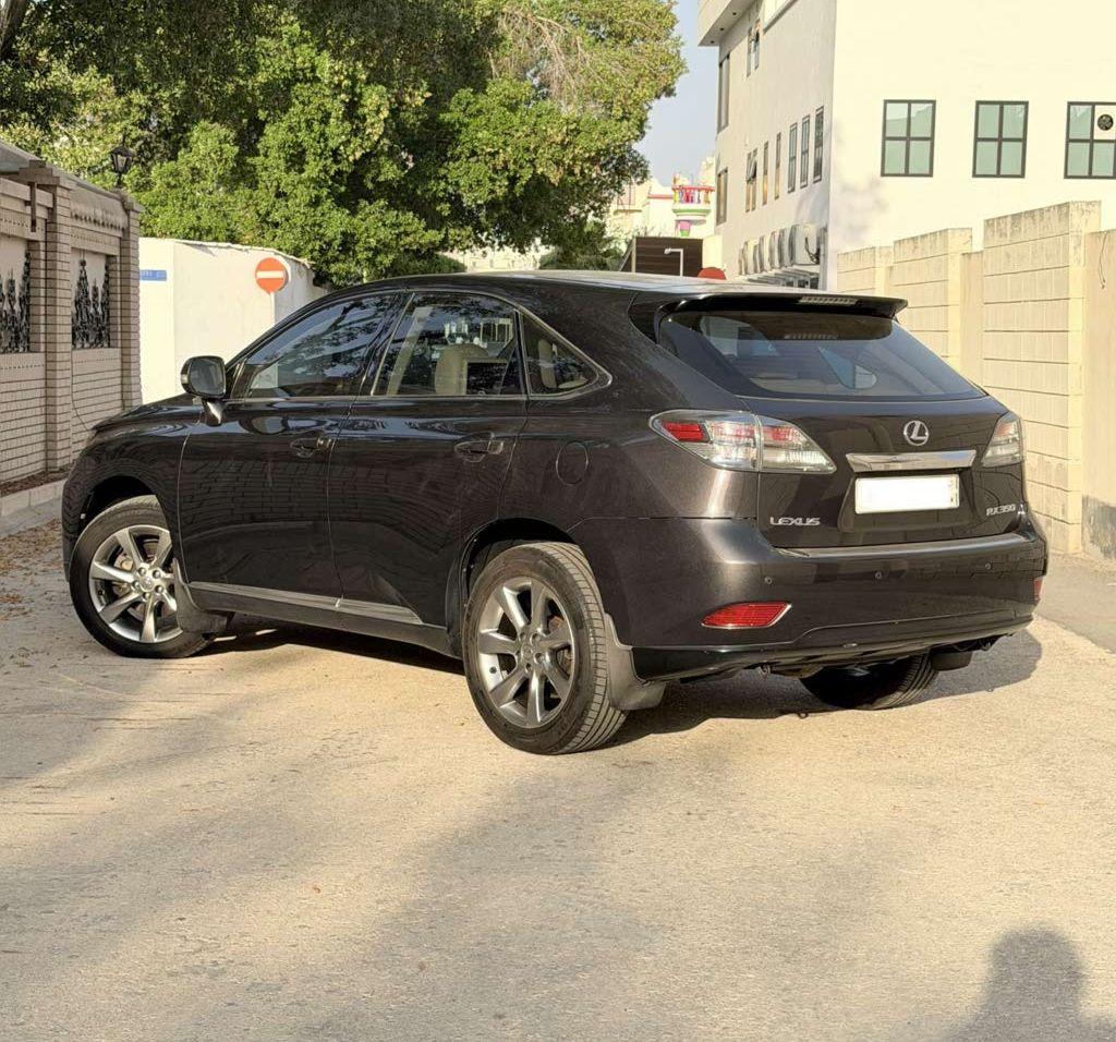 2010 لكزس RX