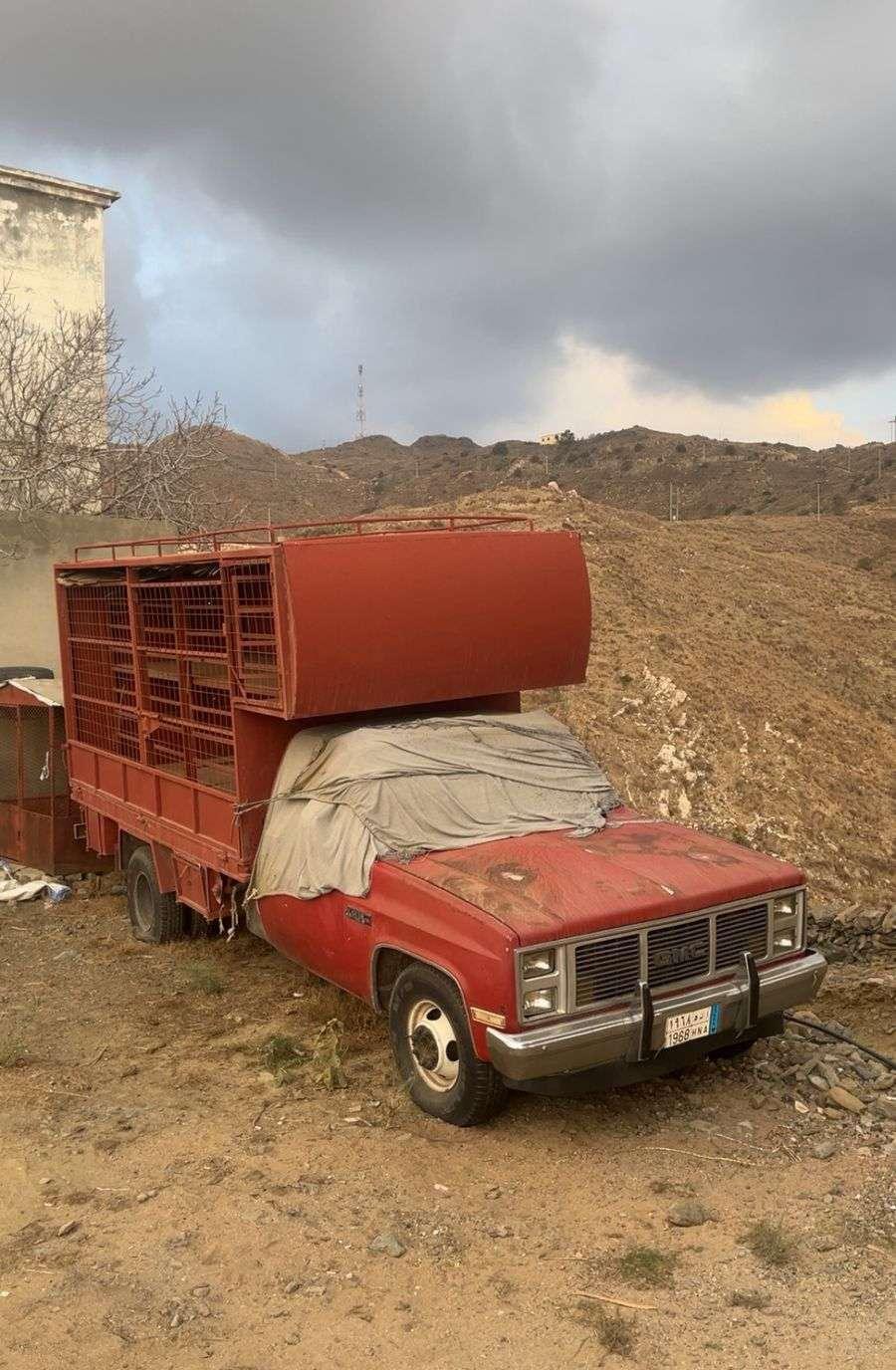جمس نحل للبيع