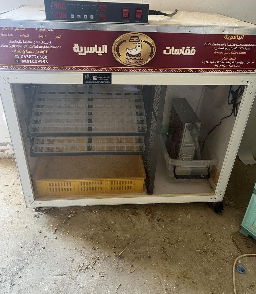 فقاسة للبيه تاخذ