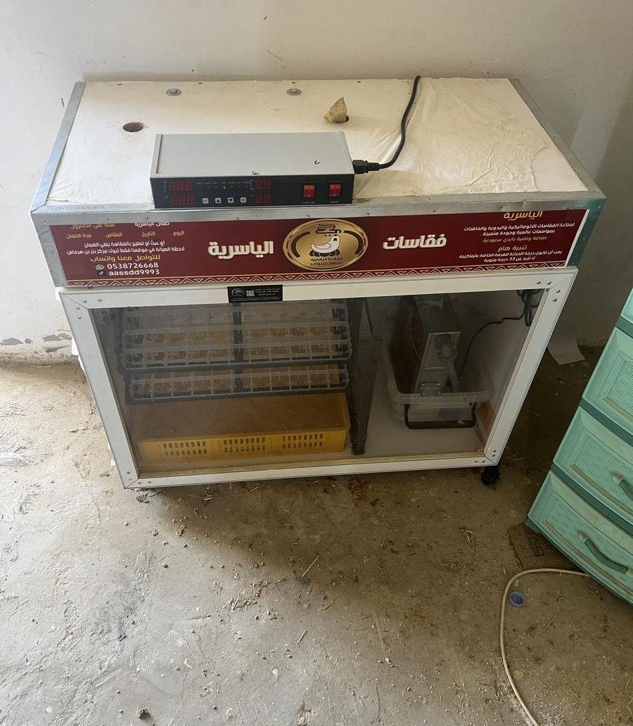 فقاسة للبيه تاخذ