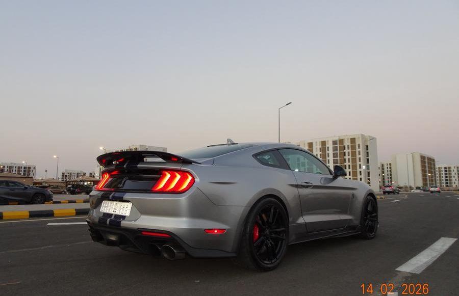 فورد موستنج شيلبي