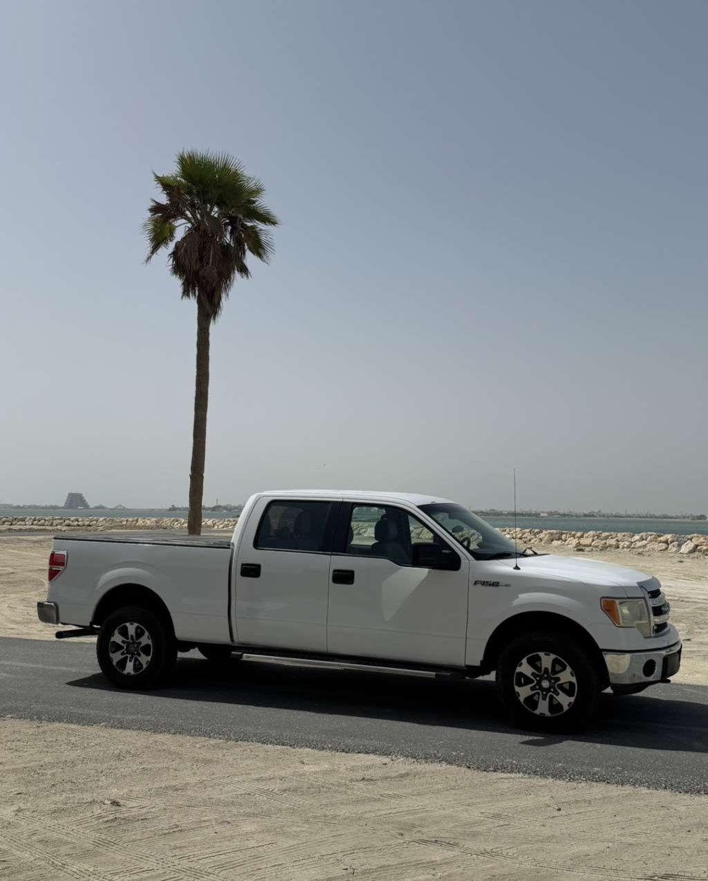 2014 فورد F-150