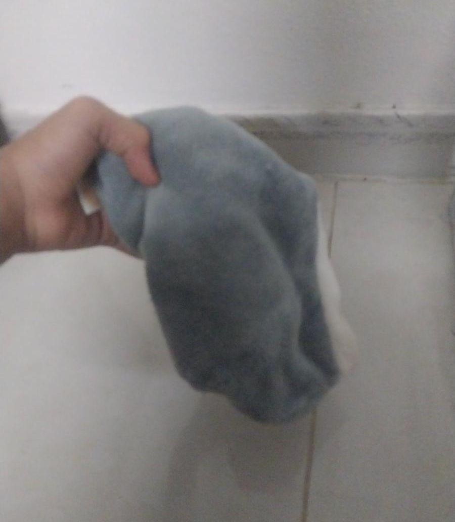 قفص سنجاب معا