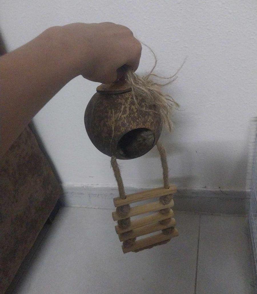 قفص سنجاب معا