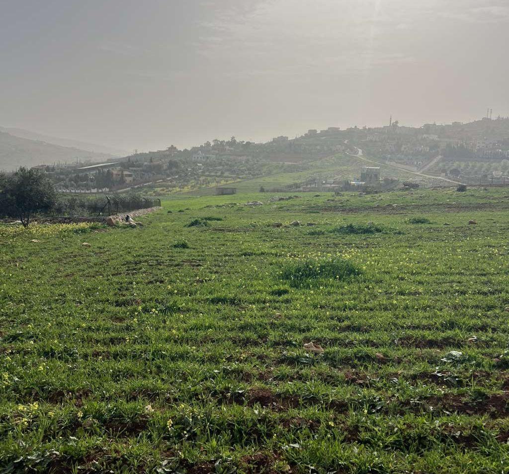 لمن يبحث عن