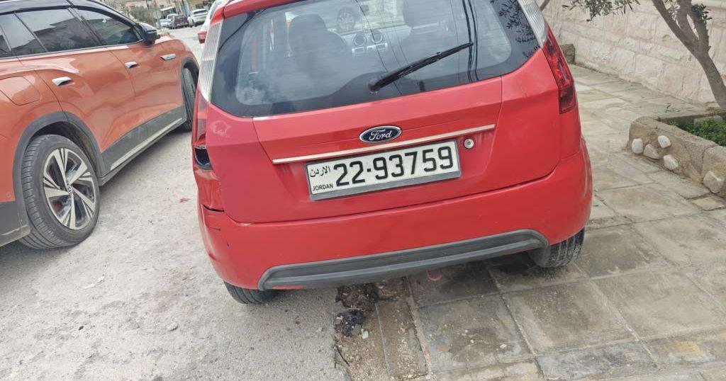 2012, فورد, فيجو,