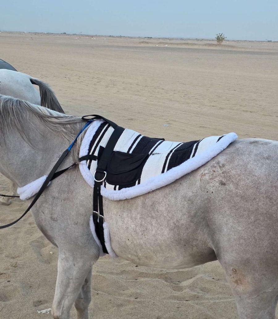 لبادات ركوب خيل