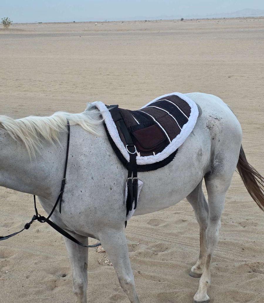 لبادات ركوب خيل