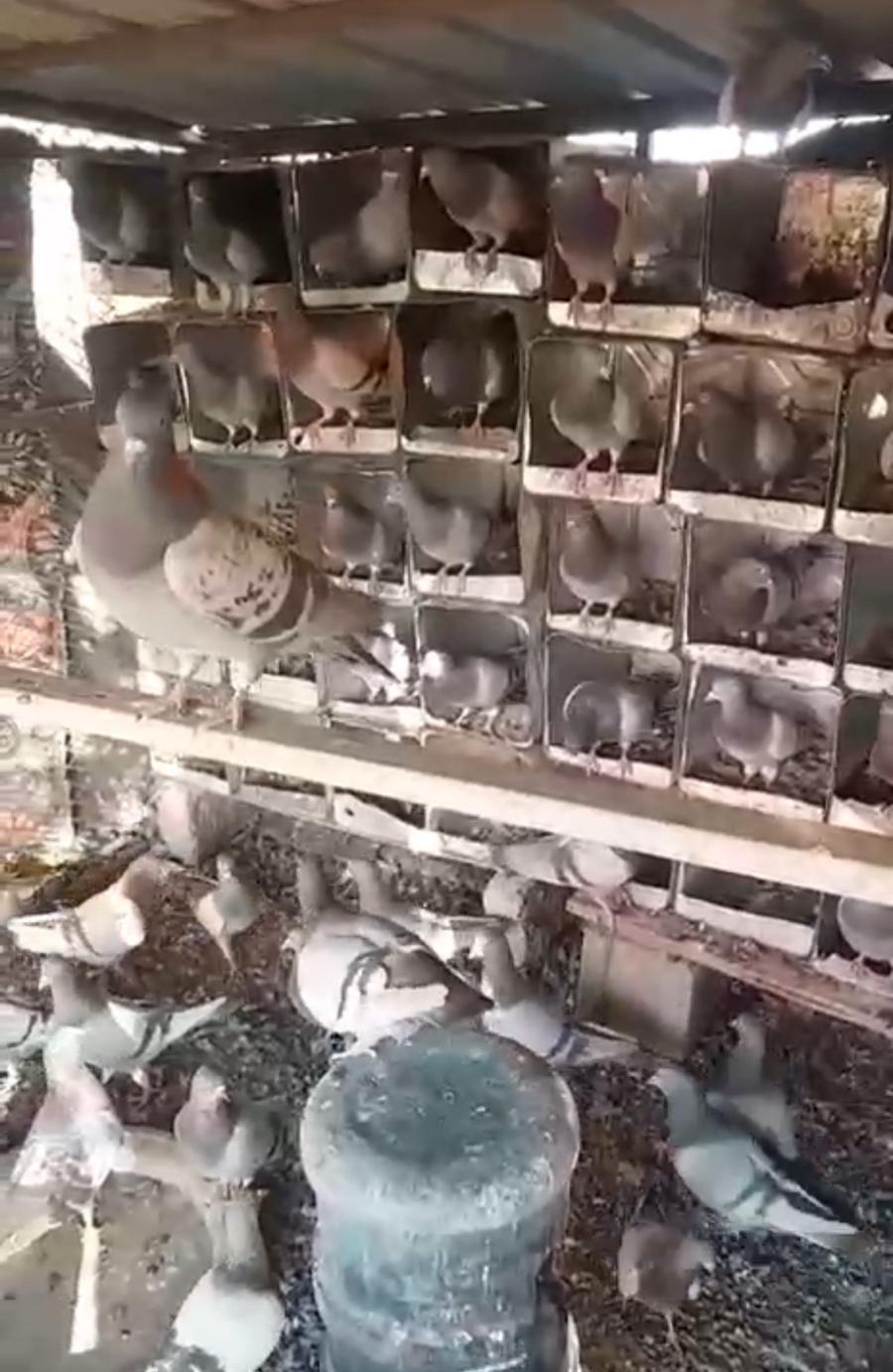 حمام فرنسي ابيض