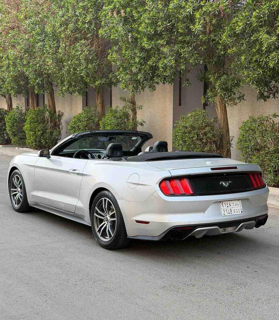 موستنج 2017 كشف