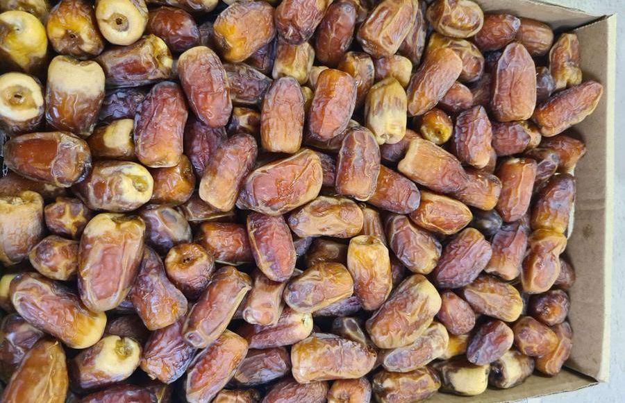 تمر صقعي حبة