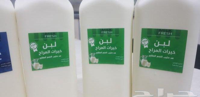حليب ولبن الغنم