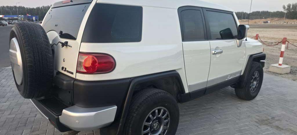 2010 تويوتا FJ