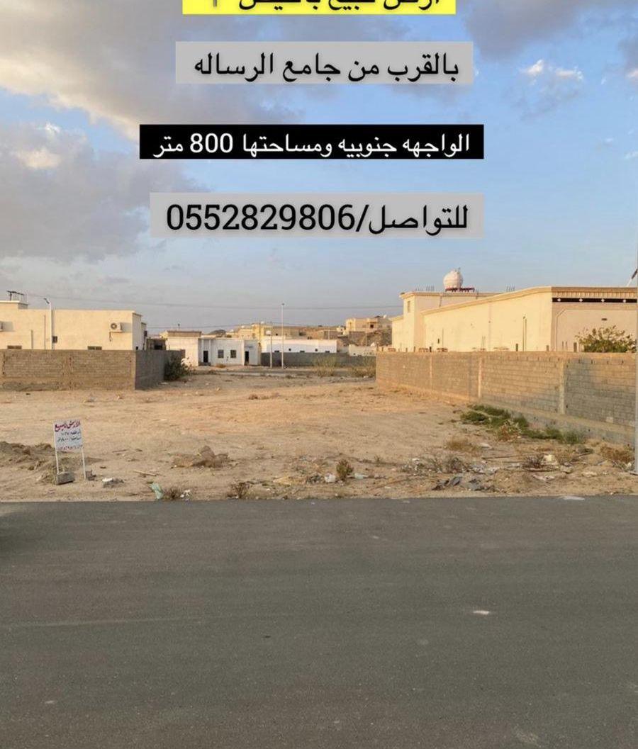 الموقع بيشة لاندكروزر