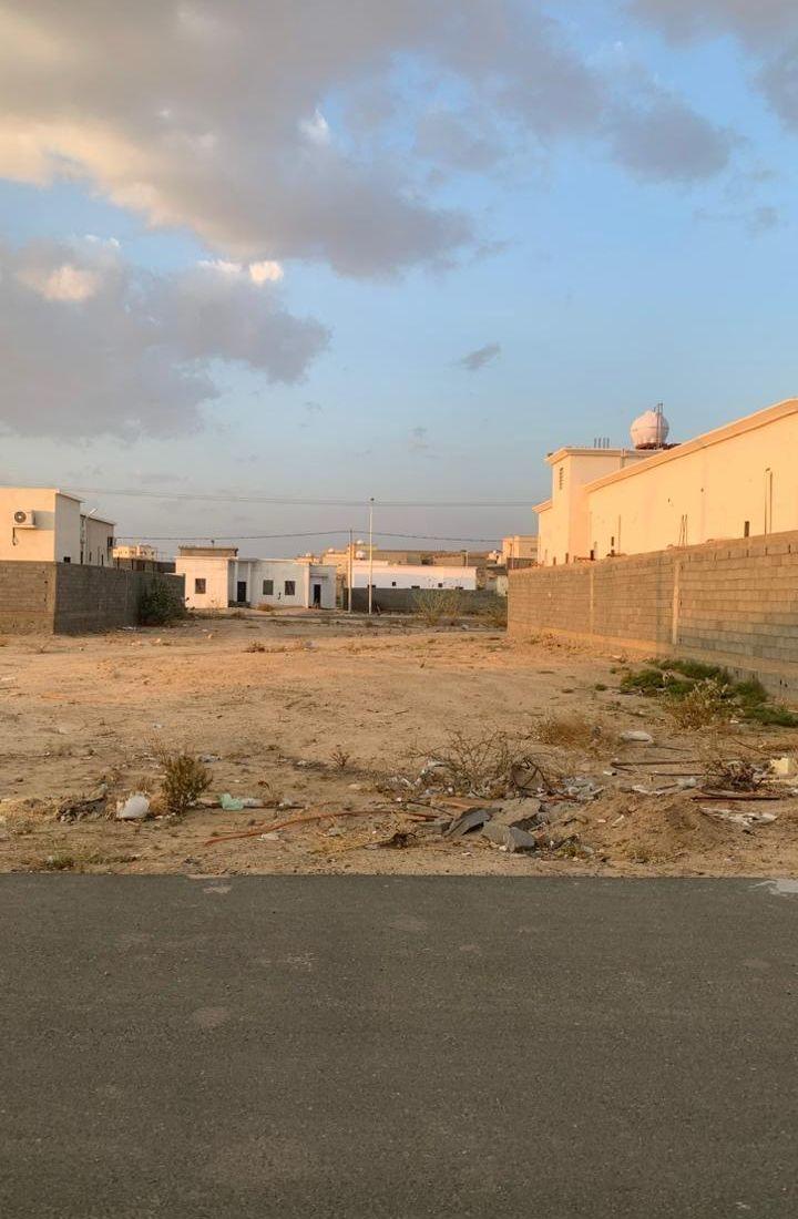 الموقع بيشة لاندكروزر