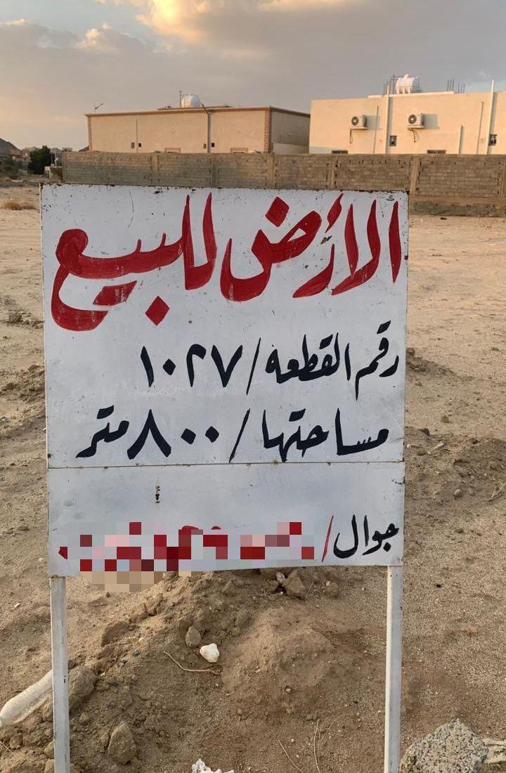 الموقع بيشة لاندكروزر