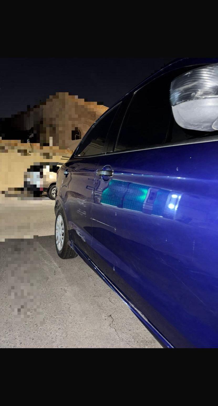 فورد فيجو