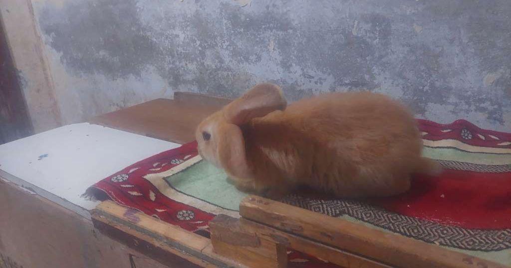 للبيع بسعر حارق