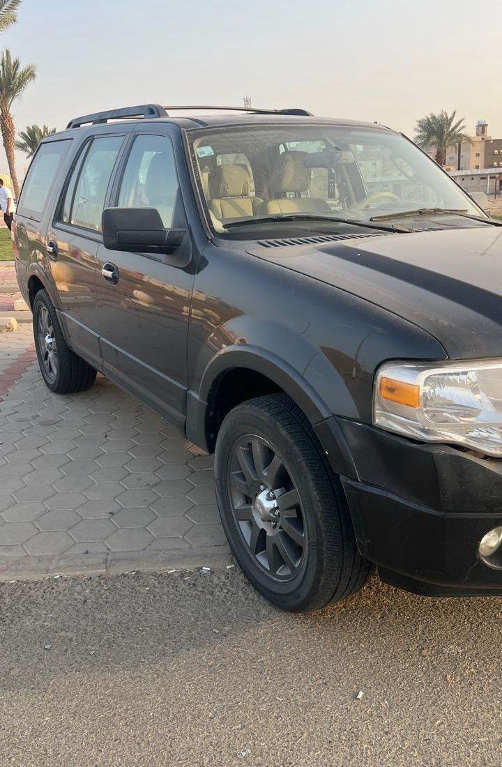 Ford Expedition 2010
