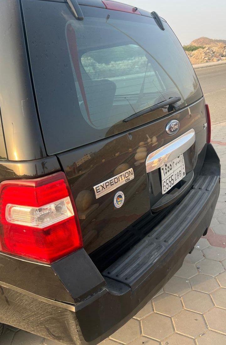 Ford Expedition 2010