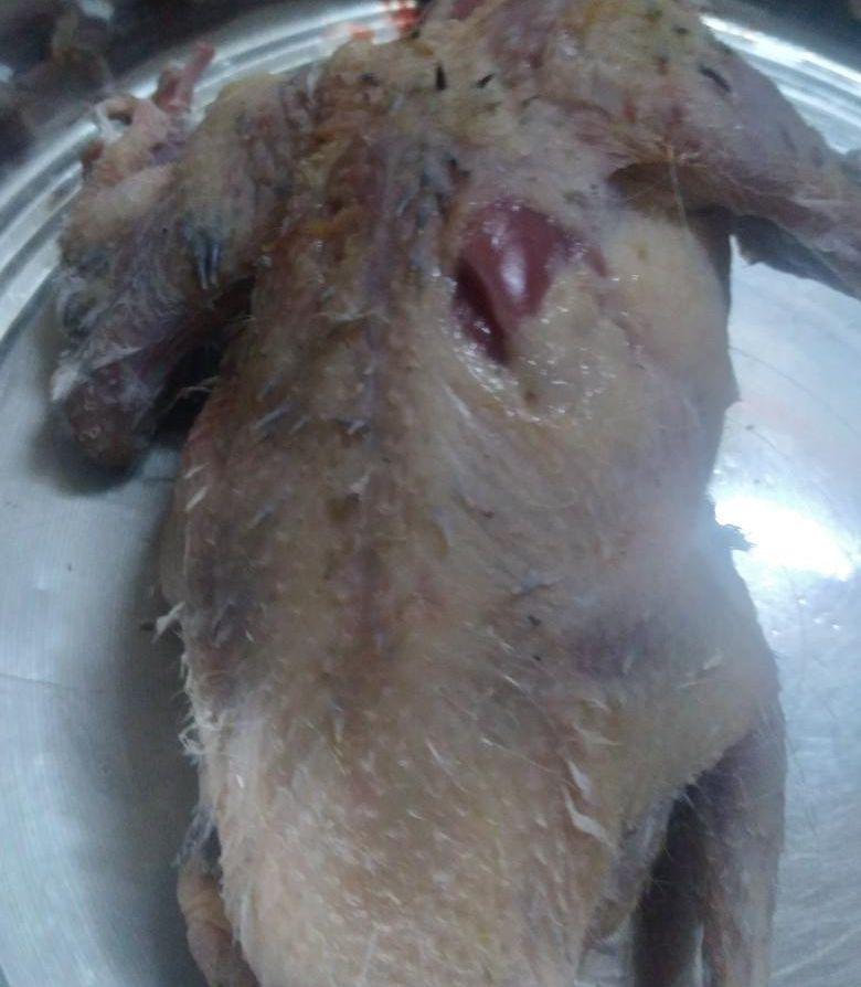زغاليل حمام مشكلة