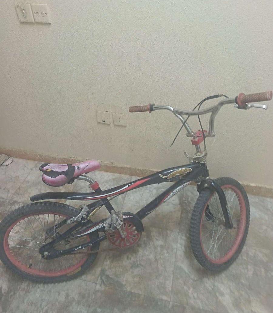 كوبرا
