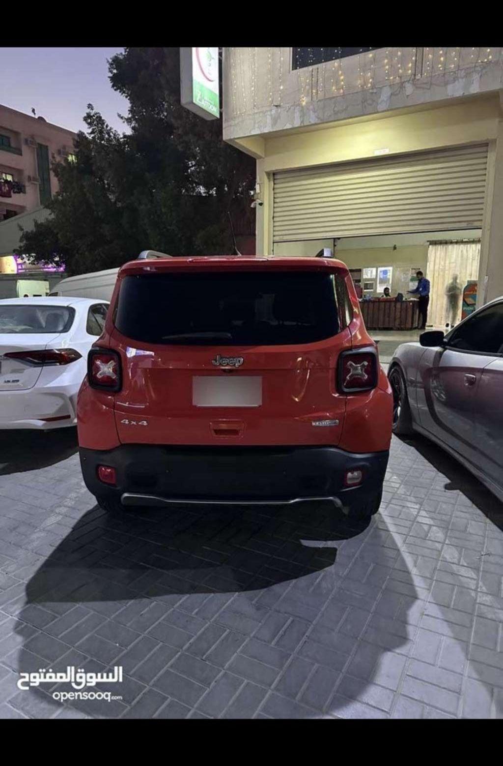2019 جيب اخرى