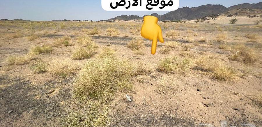 نص ارض بمخطط