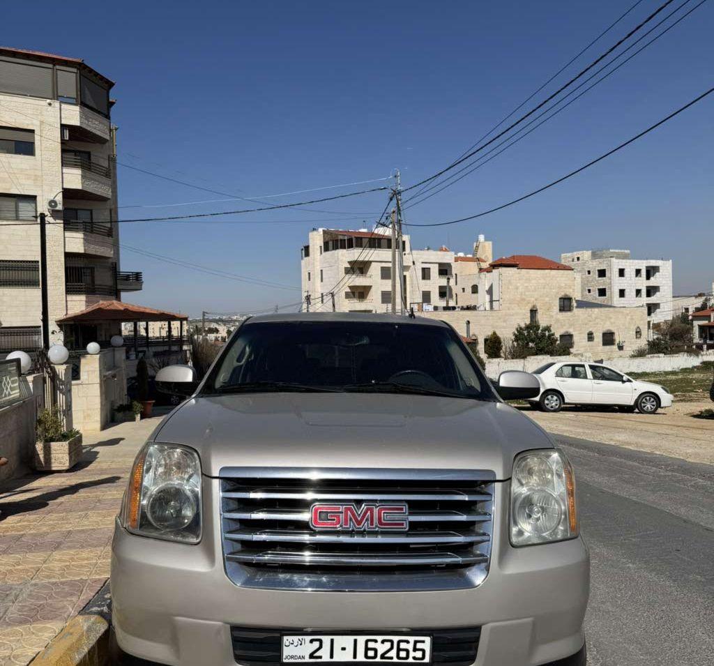 2009, جي إم