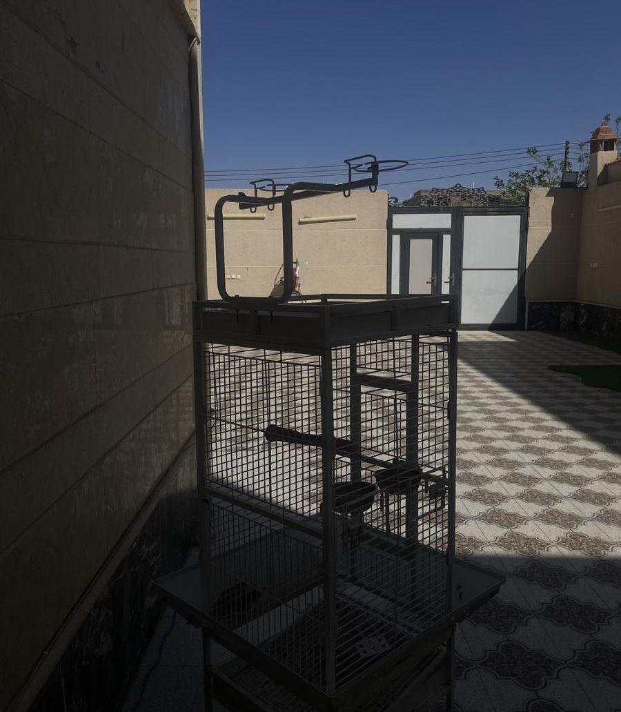 قفص ببغاء