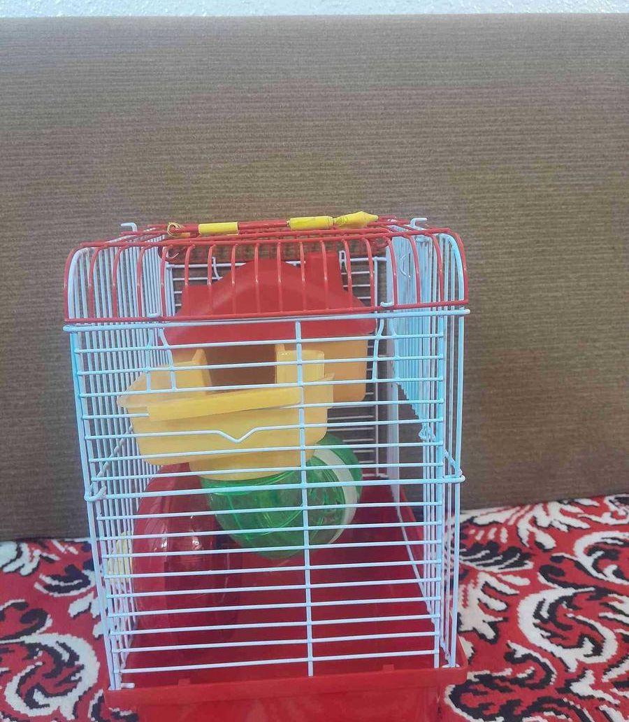 بيت هامستر جدبد